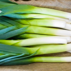 Organic Fresh Green Leek