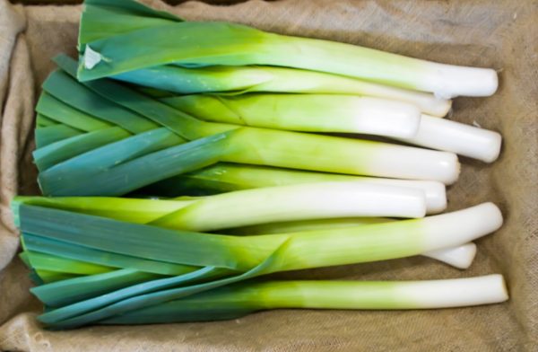 Organic Fresh Green Leek