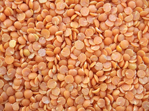 Musuro Daal Organic